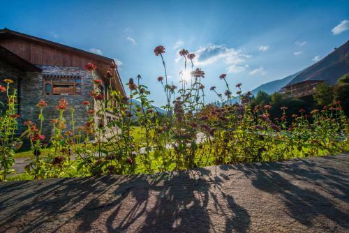 Hotel Terma Linca Resort & Spa