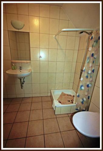 Bed & Breakfast Dworek Jana