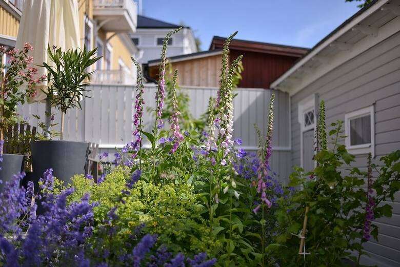 Bed & Breakfast Villa Sedin