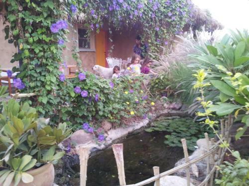 Rotem`s Guest House
