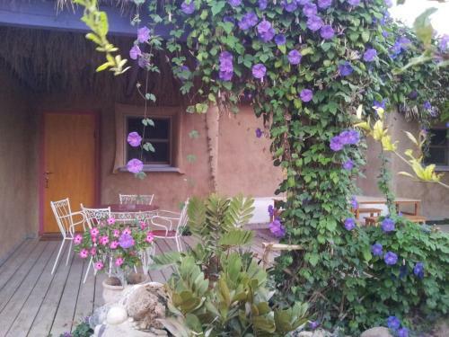 Rotem`s Guest House