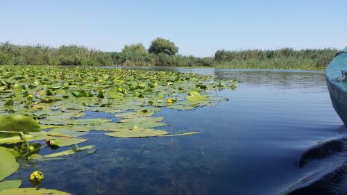 Agroturismo La Raducu