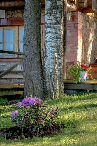 Agroturismo Guest House Laimes Ligzda