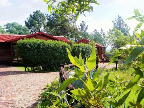 Pine Tree Lodge