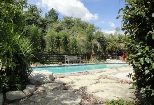 Pine Tree Lodge