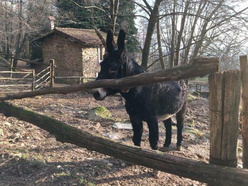 Hostal Centro Trekking A Cavallo Monte Brugiana
