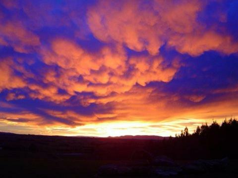 Hokonui Bed &amp; Breakfast