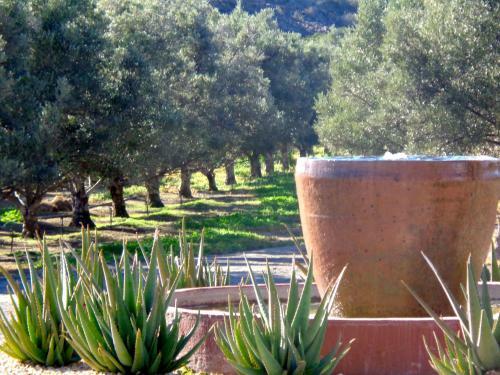 Agroturismo Olive Grove Guest Farm
