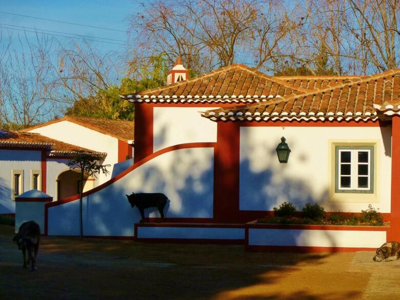 Hotel Monte Da Proven�a