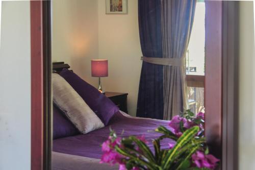 Hostal Jungletide