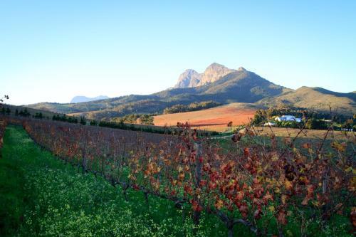 Bed & Breakfast Marianne Wine Estate