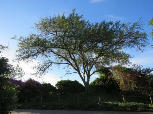 Hostal Broadlands Country House