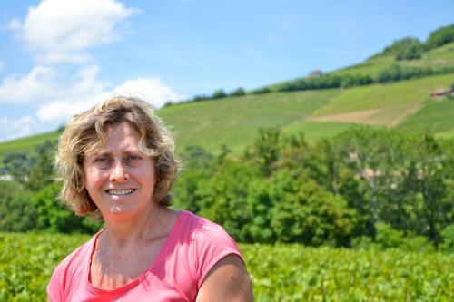 Domaine Du Barvy