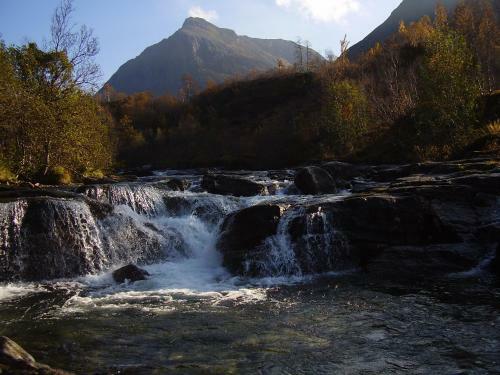 Fjellstova �rskogfjellet Cottages