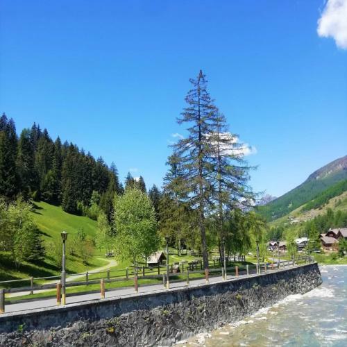 Apartamento Appartamento Stella Alpina