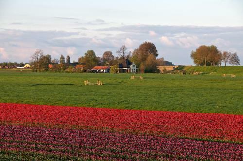 Hotel Restinn Oosterleek