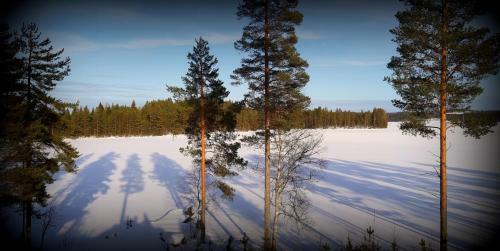 Holiday Homes Majoinen