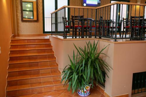 Hostal Villa Salvia