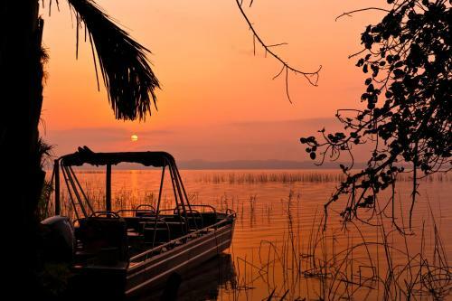 Kosi Forest Lodge