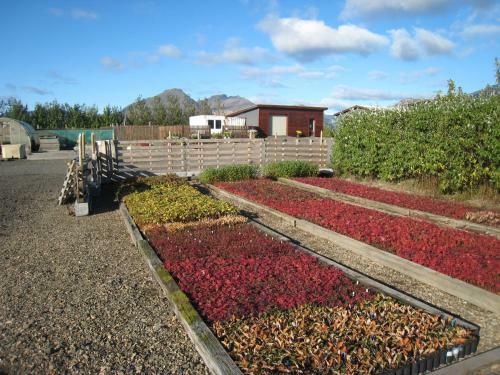 Hostal Dilksnes Guesthouse
