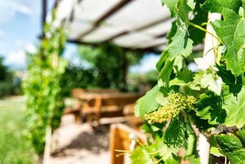 Agroturismo Casale Dei Mattonari