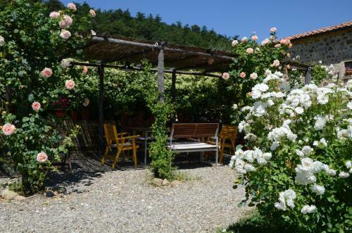 Agroturismo Country House Grencaia