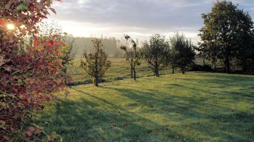 Bed & Breakfast Le Relais De La Dentelle