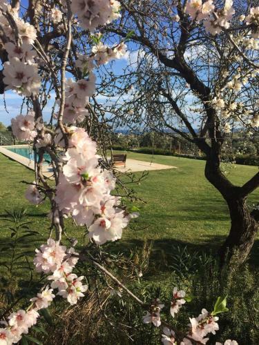 Agroturismo Terre Di Vendicari