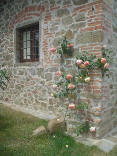 Agroturismo Residenza San Leo