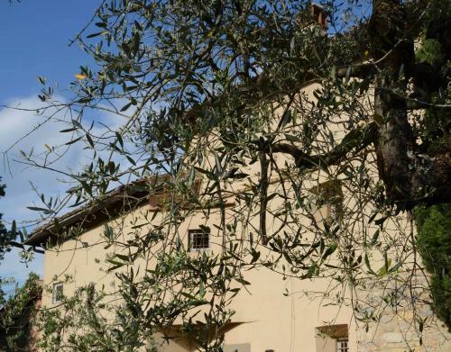 Agroturismo Residenza San Leo