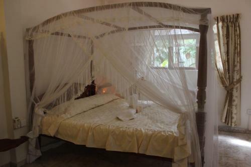 Hostal Palm Grove