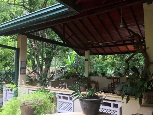 Hostal Palm Grove