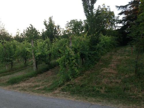 Agroturismo Agriturismo La Cavaliera