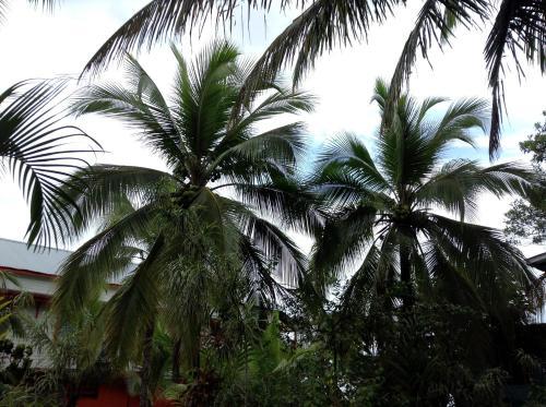 Hostal Bocas Inn