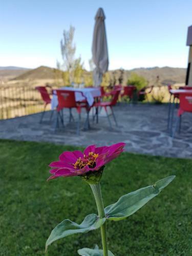 Hotel Husa Triskel