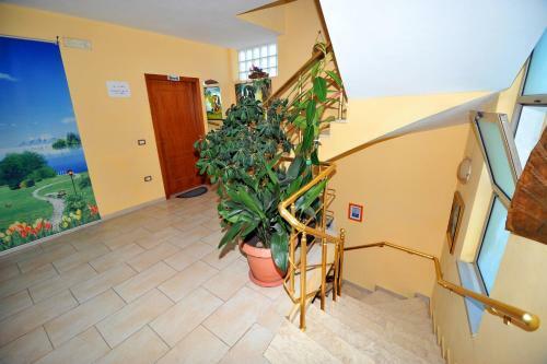 Pemaj Hostel