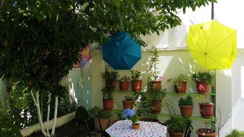 Pemaj Hostel