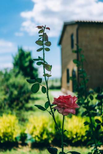 Bed & Breakfast Podere San Francesco