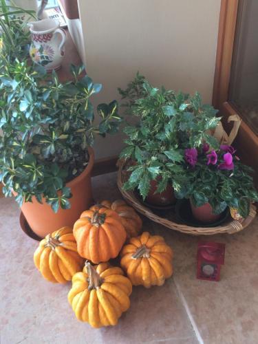 Bed & Breakfast Societ� Agricola Crocerone S.s.