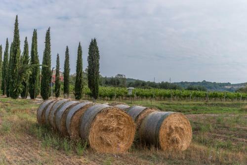 Hostal Agriturismo Le Case Rosse Di Montebuono