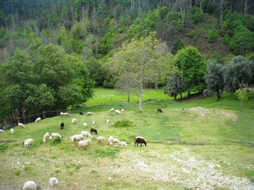 Agroturismo Quinta De Entre Sebes