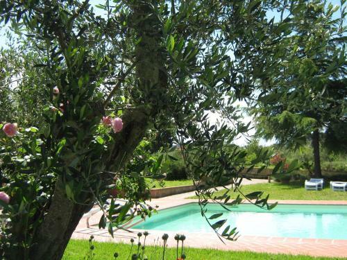 Agroturismo Casa Vacanze Poderino
