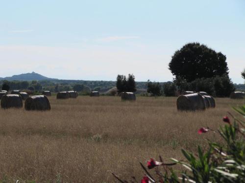 Hostal Azienda Agrituristica Allumiere