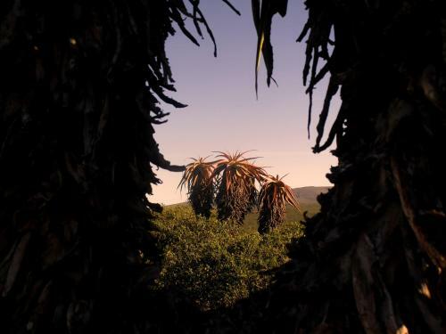 Valley Bushveld Country Lodge