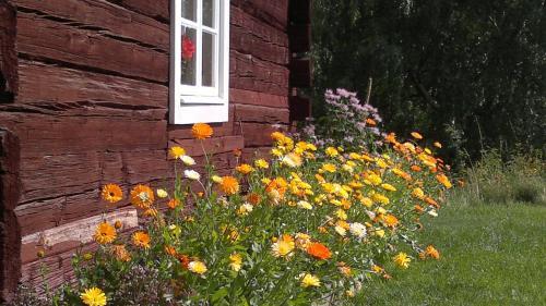 Bed & Breakfast Fem Rum Och K�k