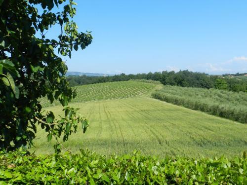 Agroturismo Agriturismo Montegonfoli