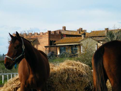 Agroturismo Agriturismo Montegonfoli