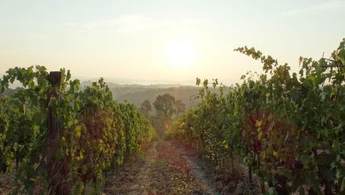 Agroturismo Agriturismo Montegonfoli