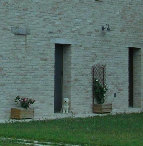 Agroturismo Agriturismo C� Ferro