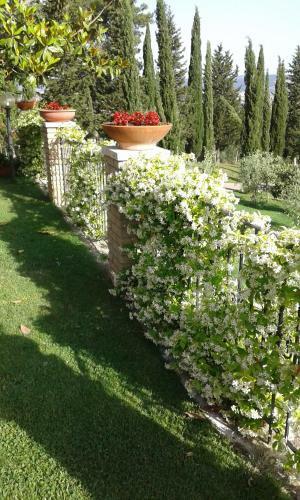 B&B La Piaggia